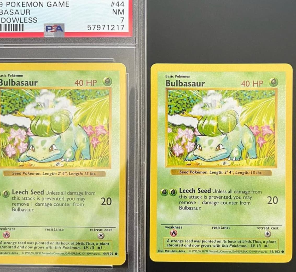 Bulbasaur photo 2