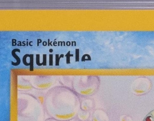 Squirtle photo 2
