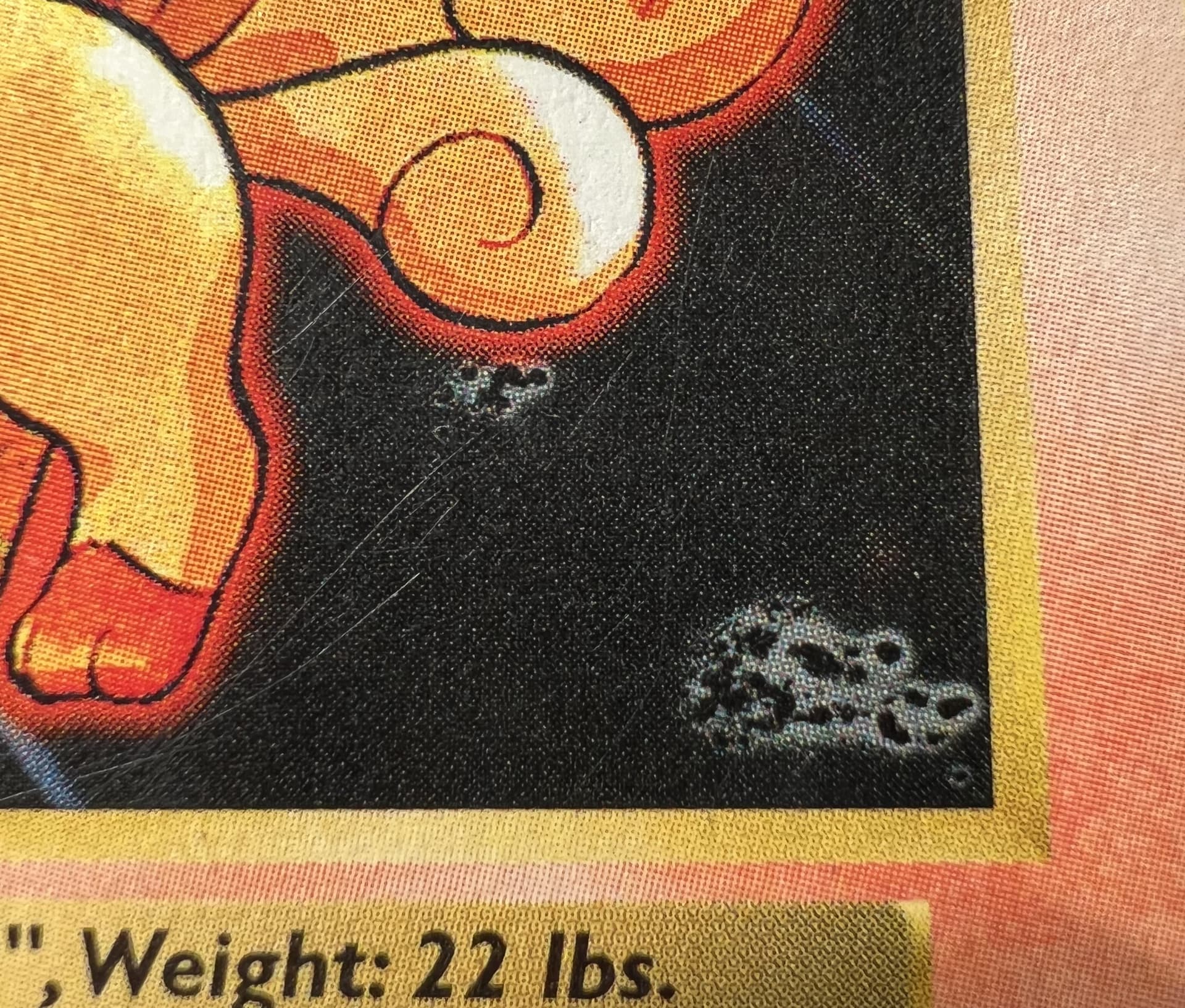 Vulpix photo 3