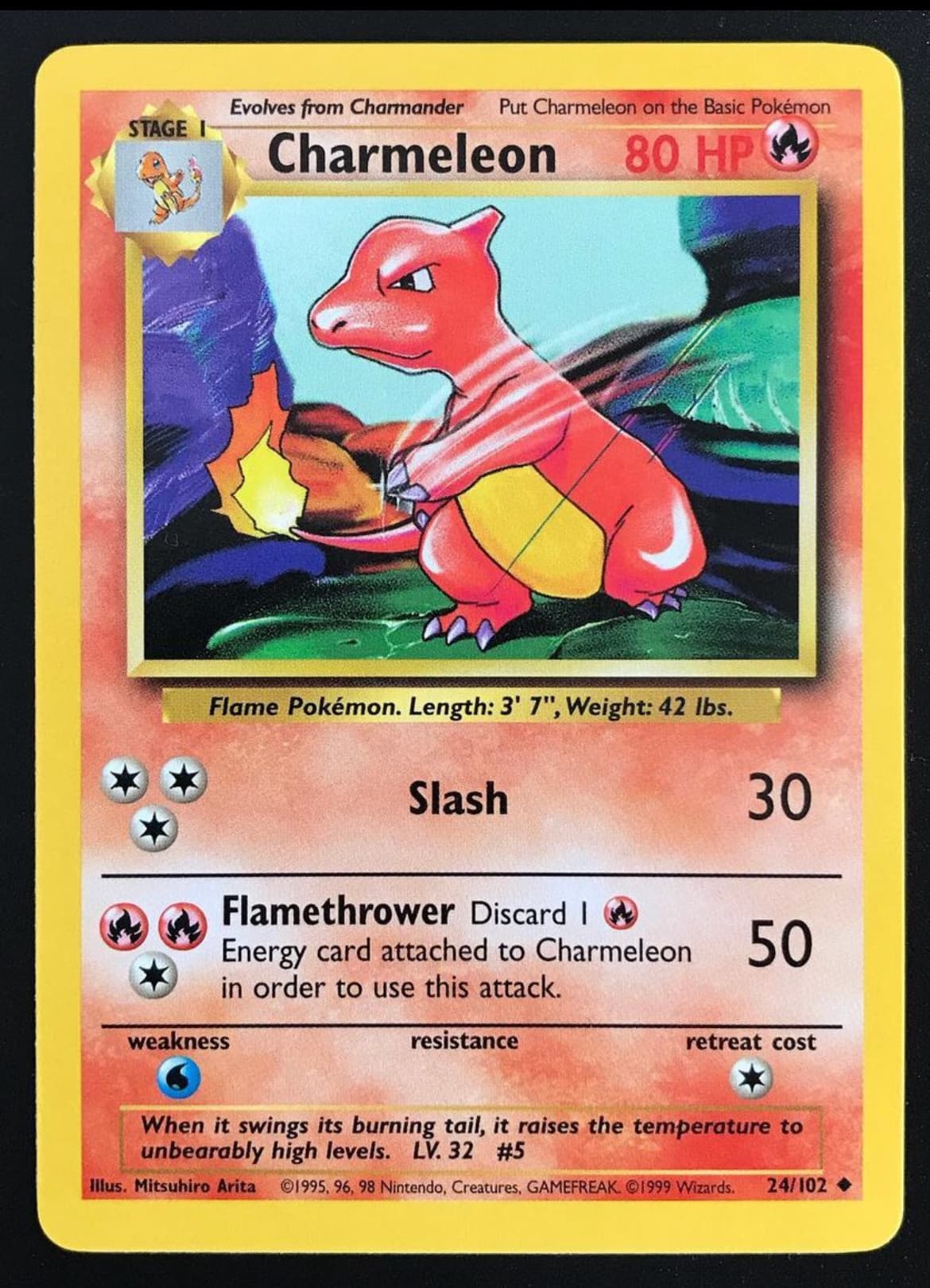 Charmeleon photo 2