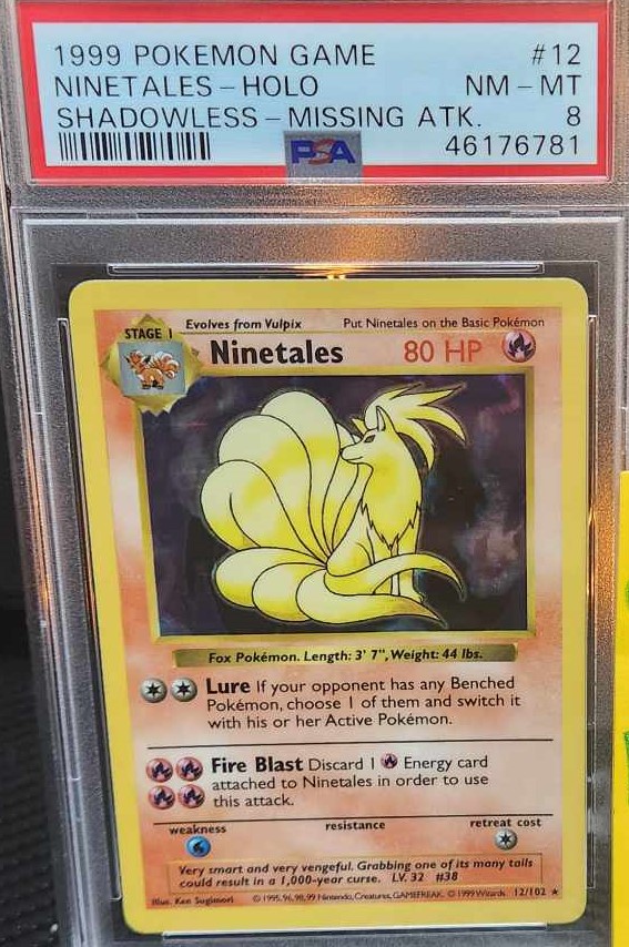 Ninetales photo 2