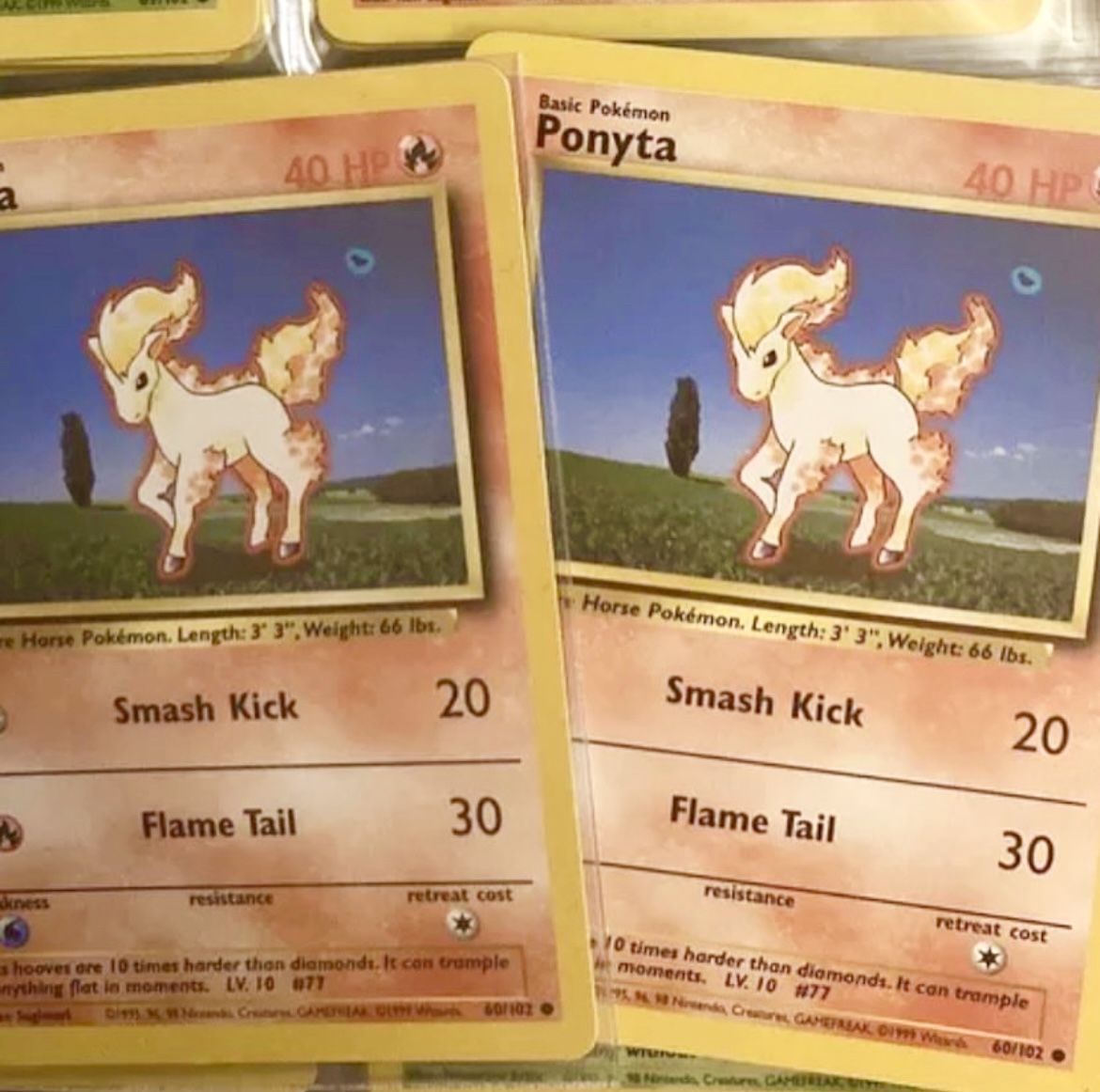 Ponyta photo 2