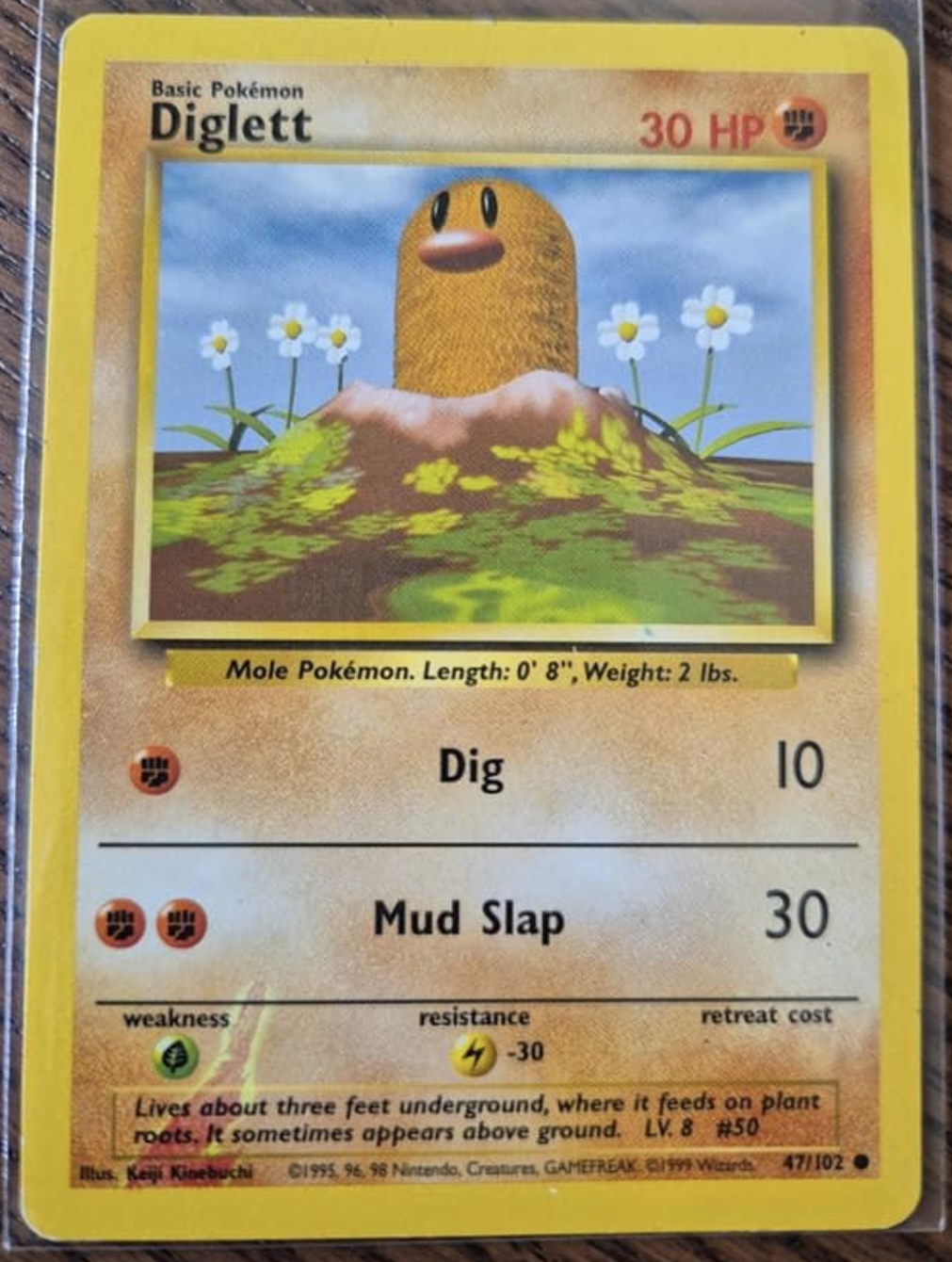 Diglett