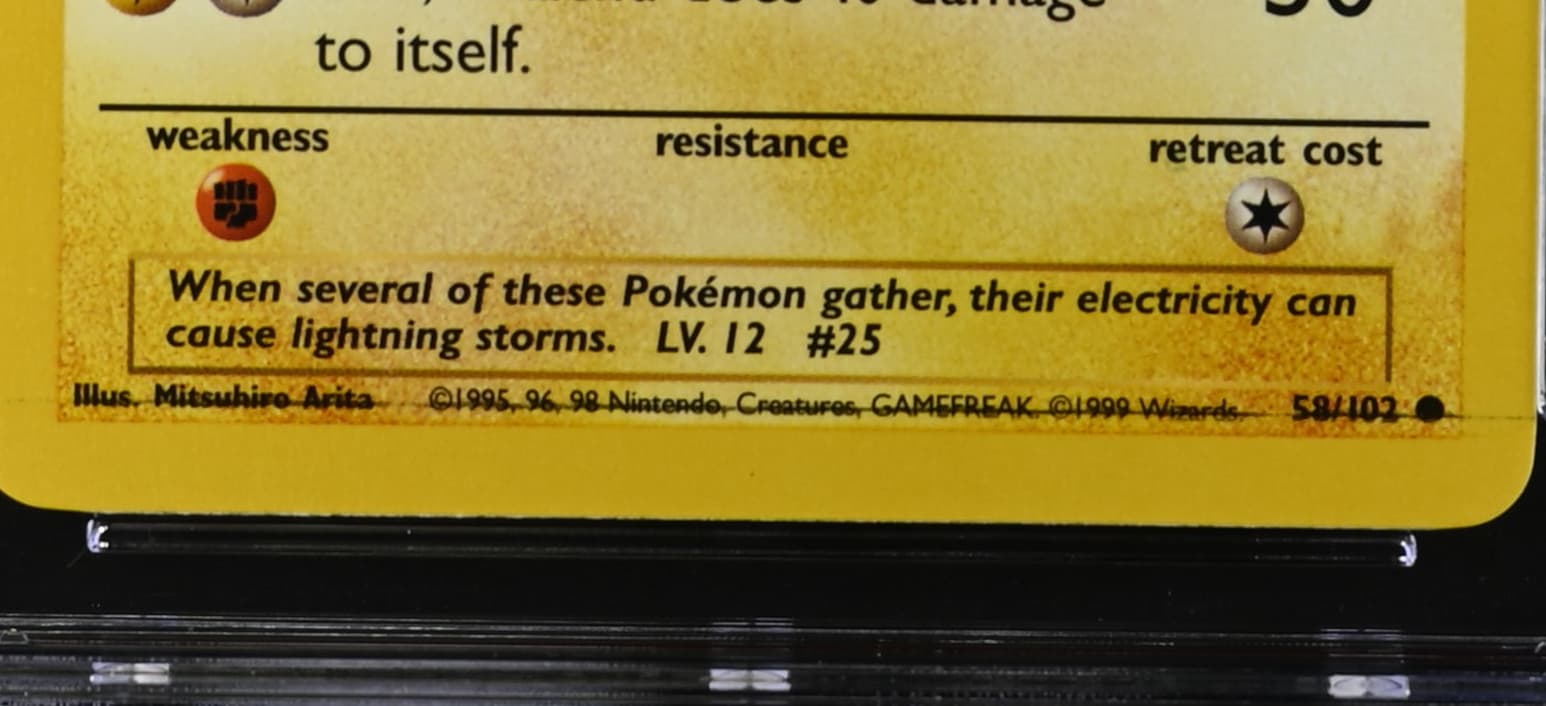 Pikachu photo 2