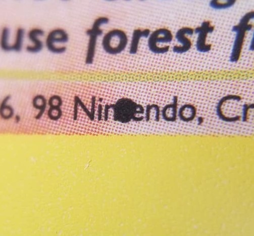 Charizard photo 3