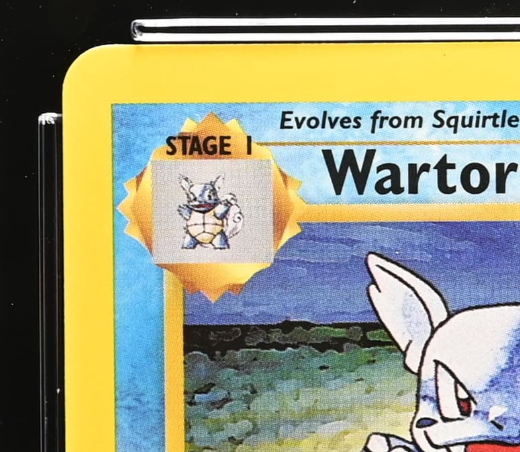 Wartortle photo 3