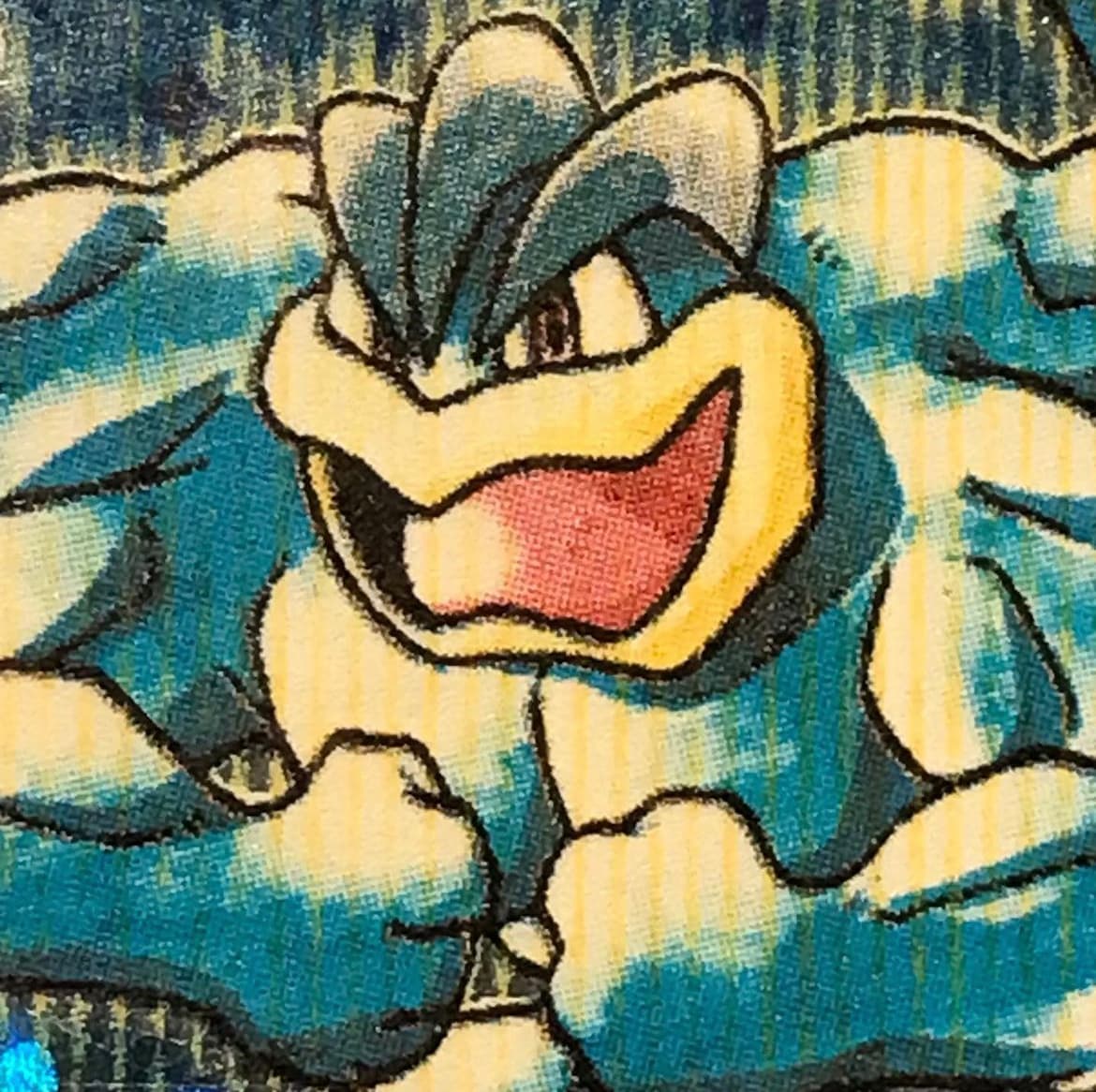 Machamp photo 2