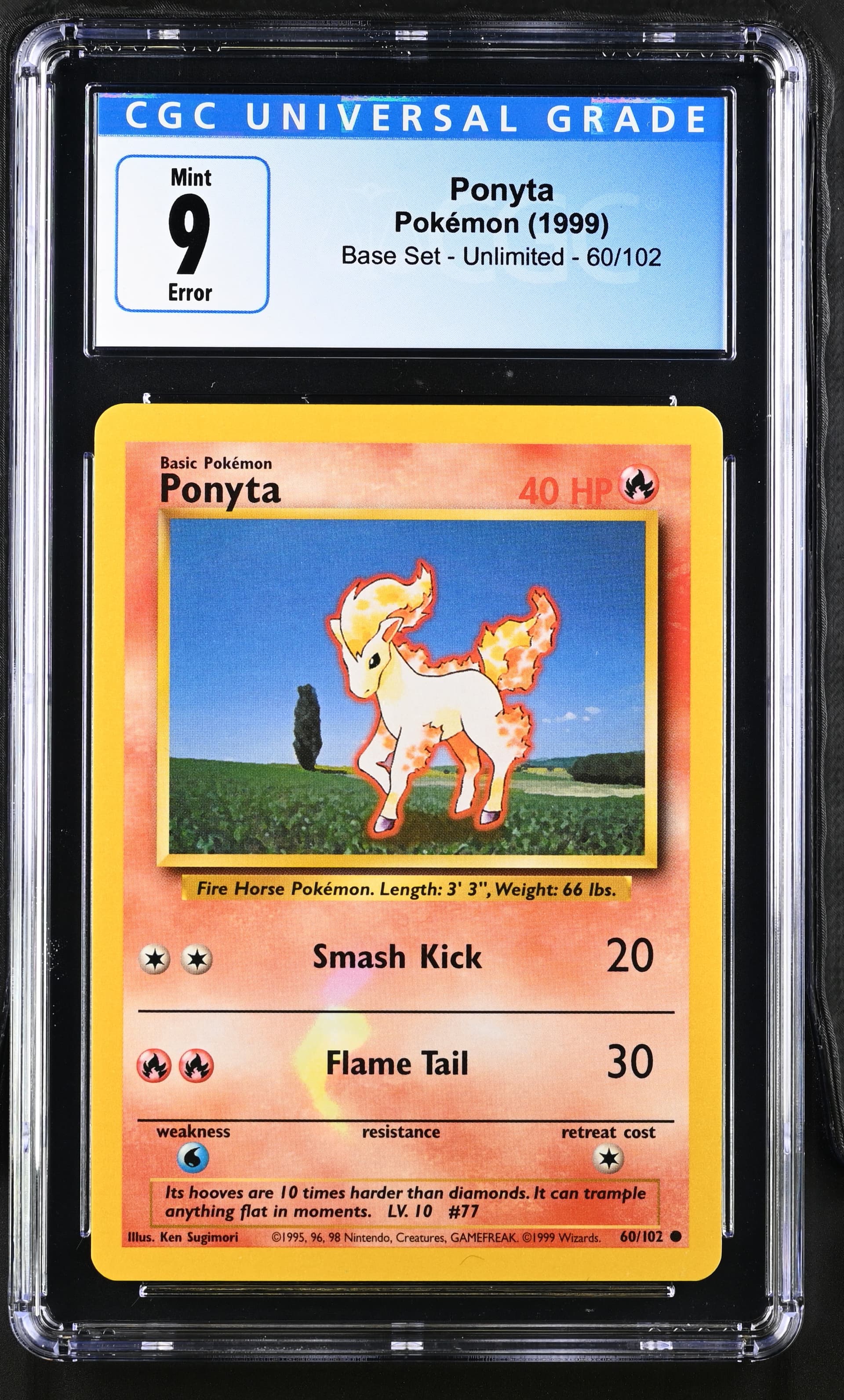 Ponyta