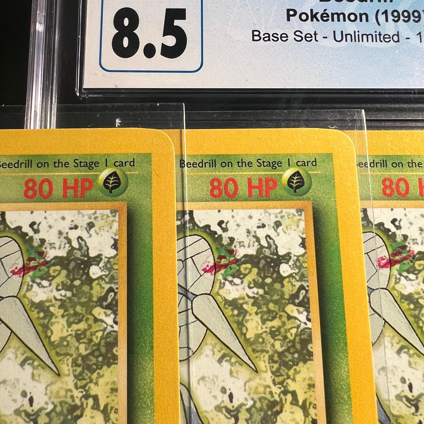 Beedrill photo 2