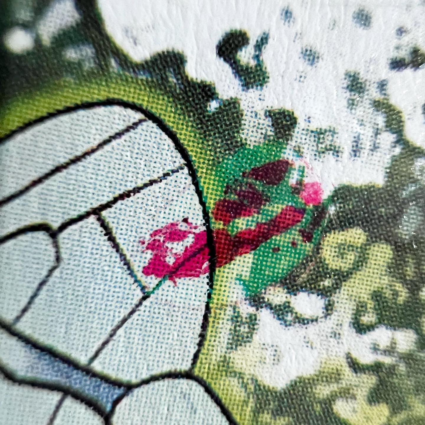 Beedrill photo 3