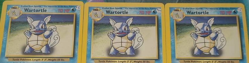 Wartortle photo 4