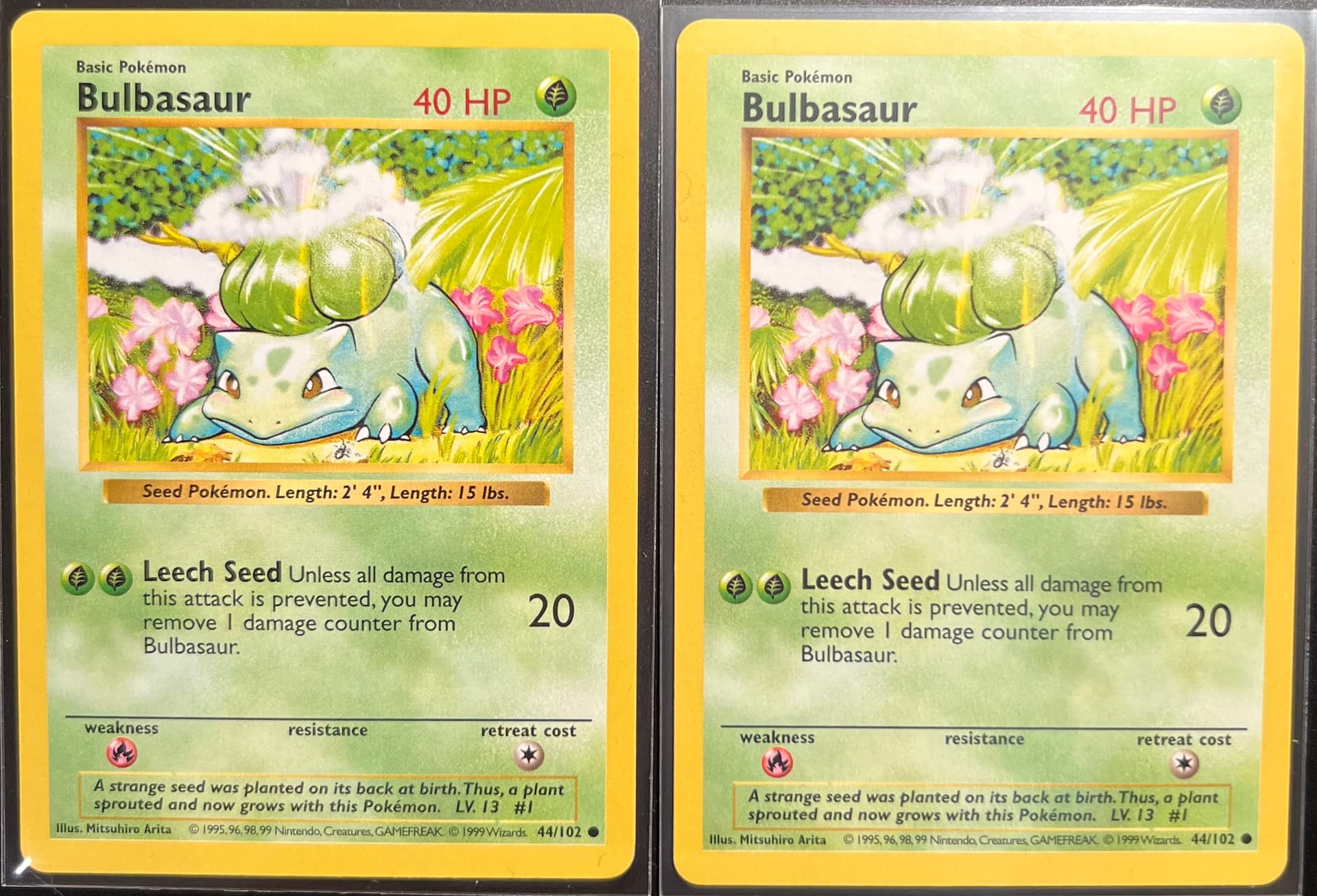 Bulbasaur photo 3