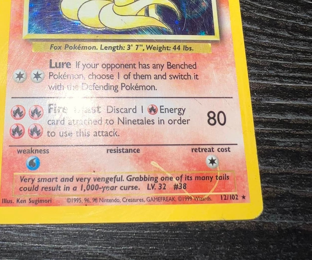 Ninetales photo 3