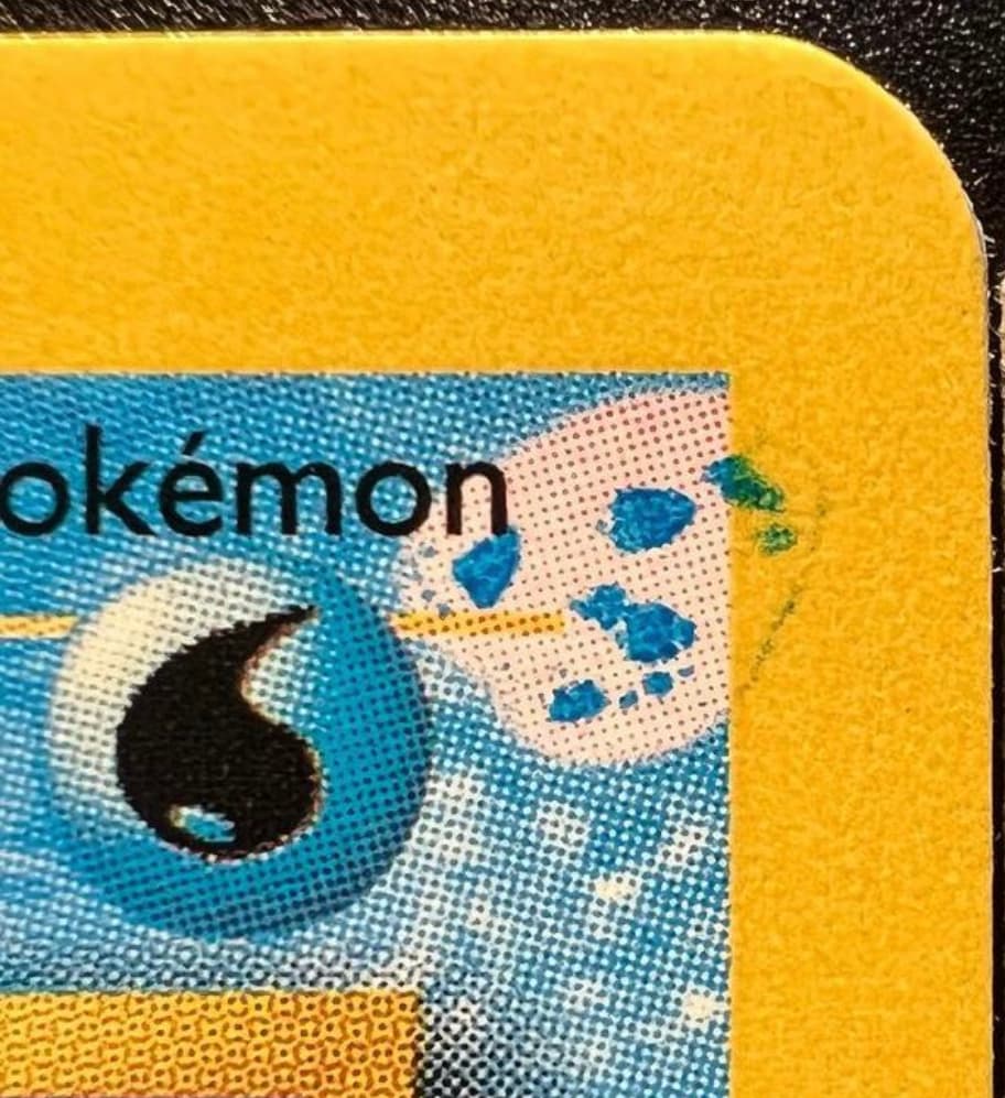 Wartortle photo 2