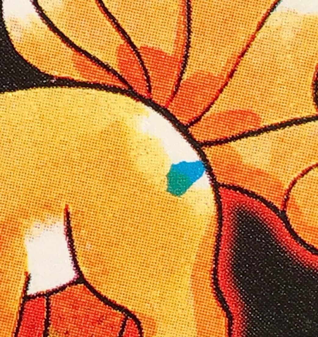 Vulpix photo 3
