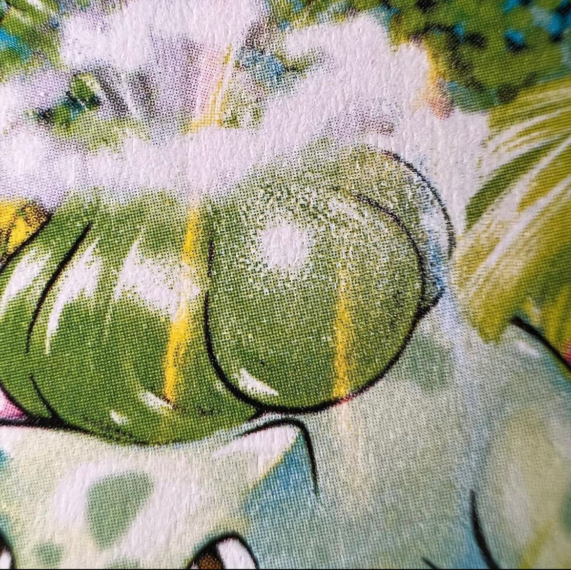 Bulbasaur photo 4