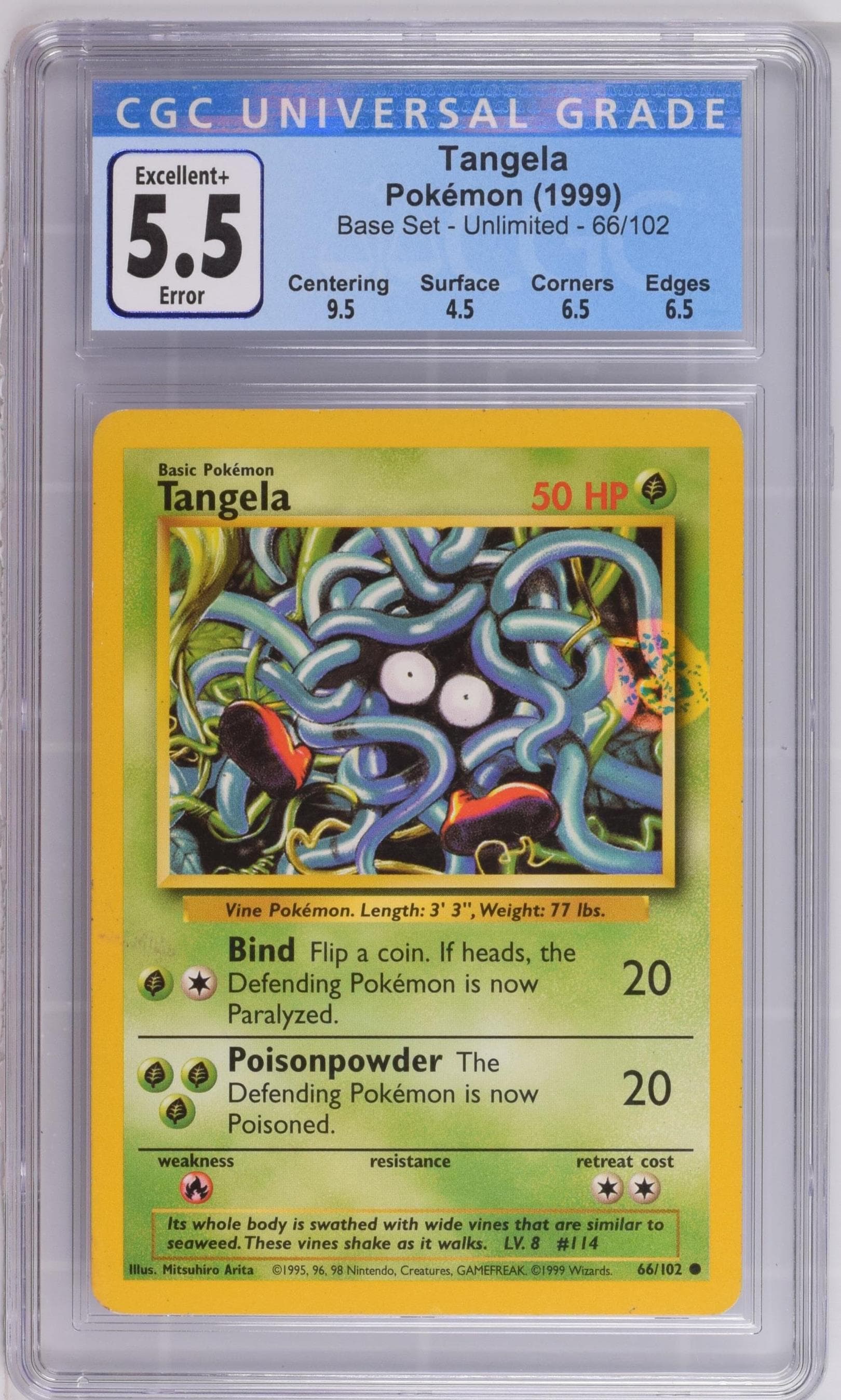Tangela photo 2