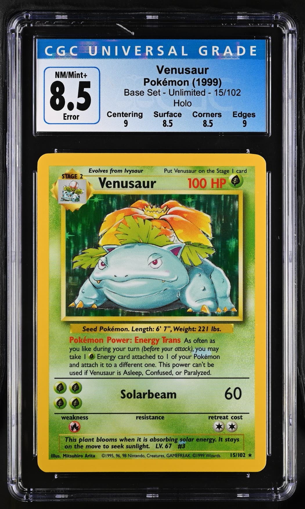 Venusaur photo 2