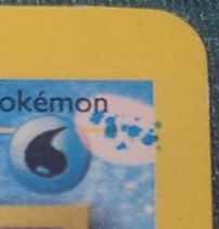 Wartortle photo 3