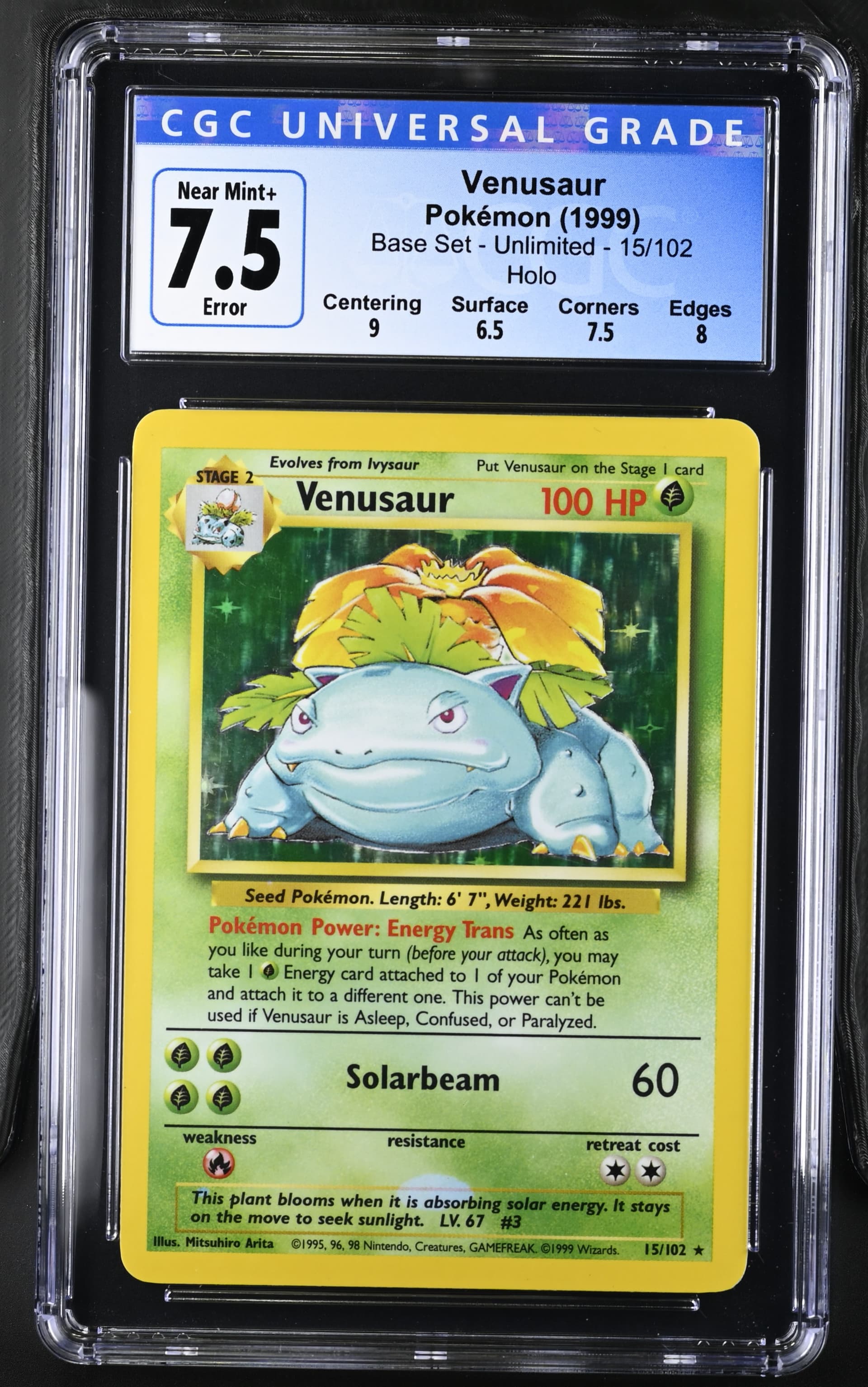 Venusaur photo 3
