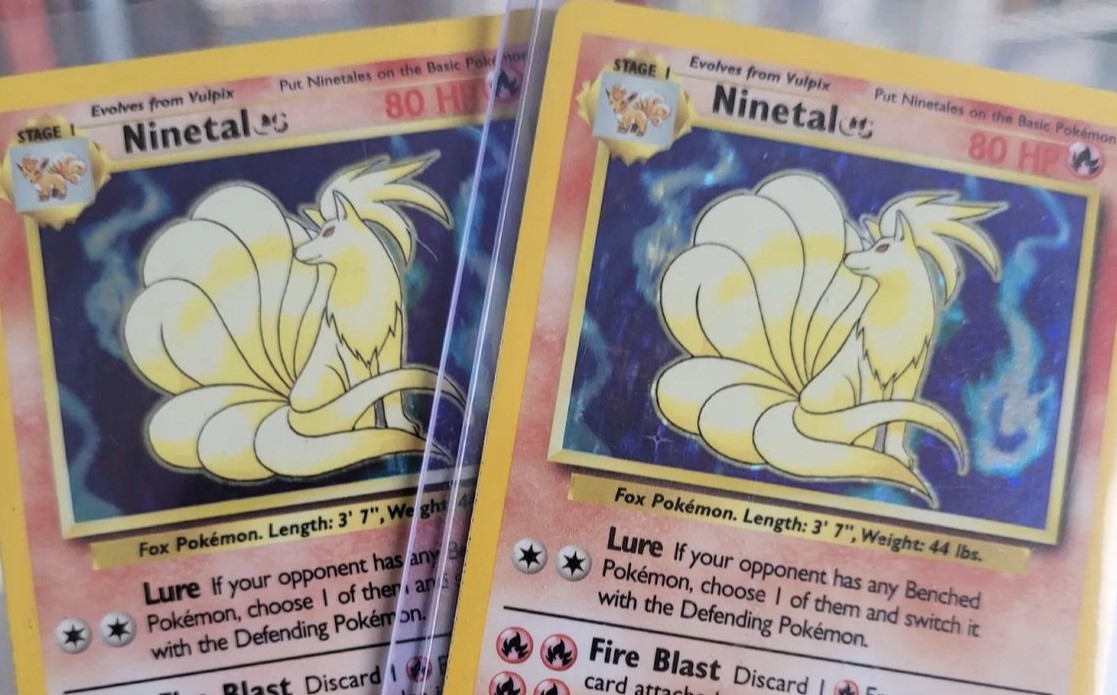 Ninetales photo 3