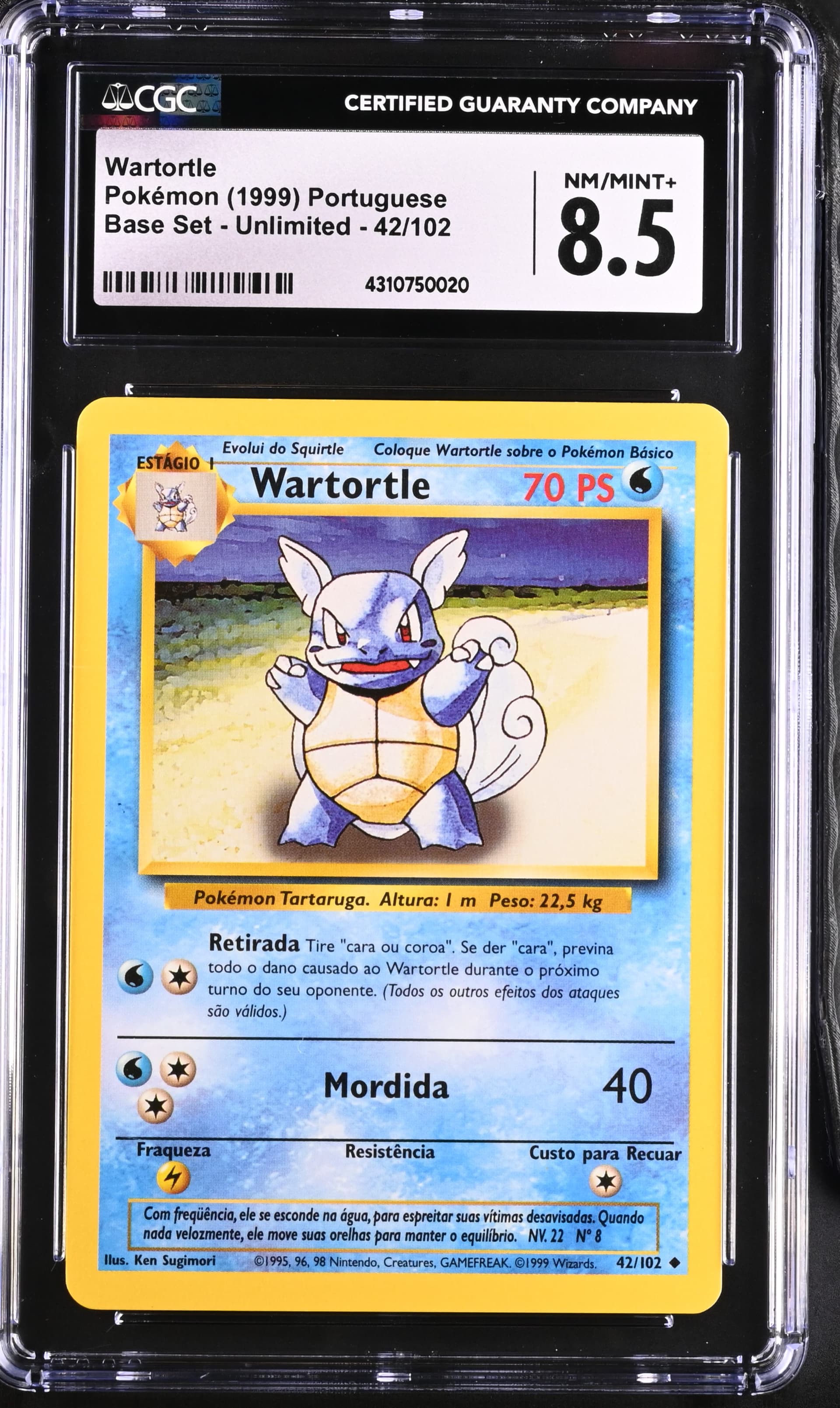 Wartortle photo 2