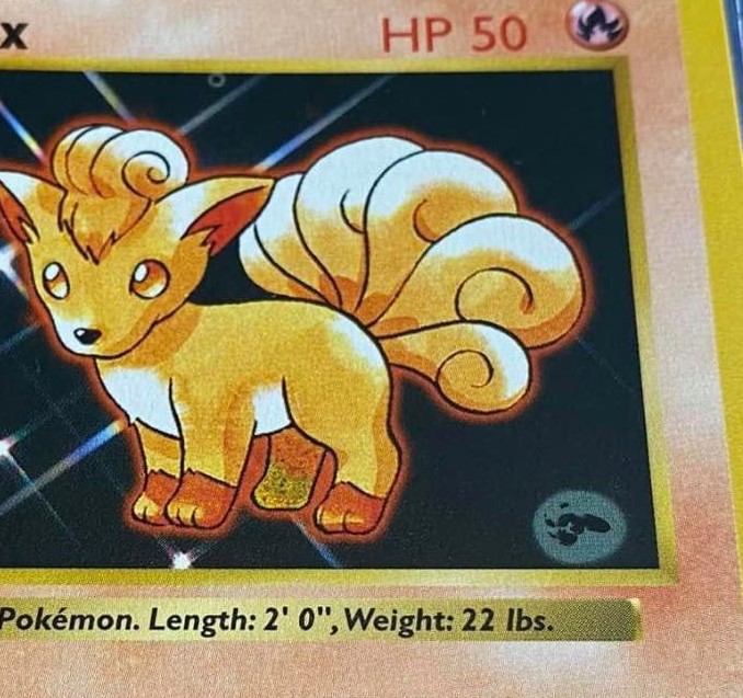 Vulpix photo 2