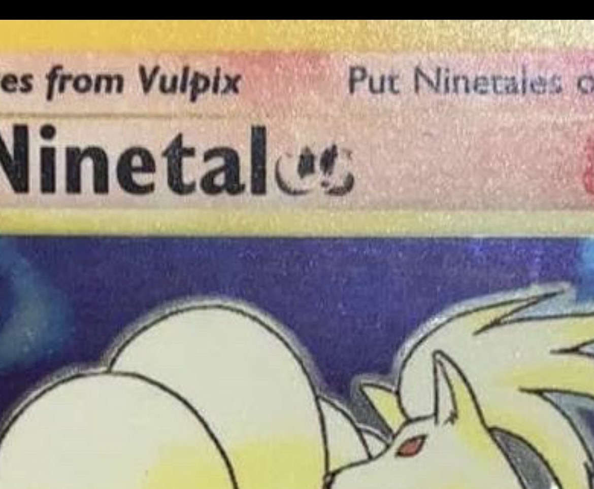 Ninetales photo 2