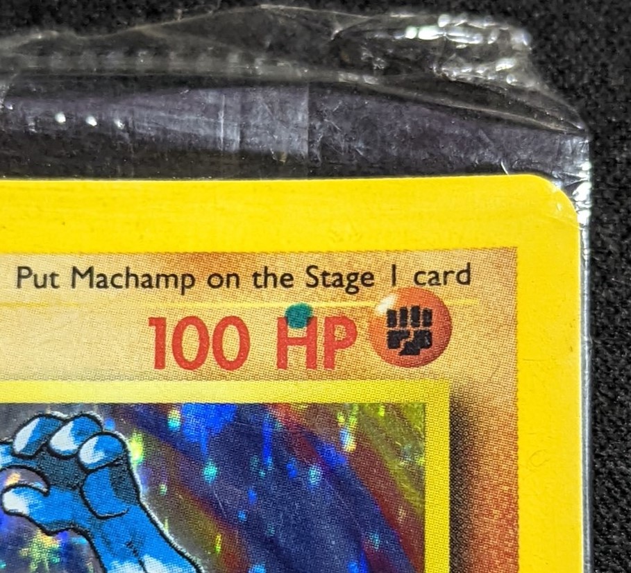 Machamp photo 2